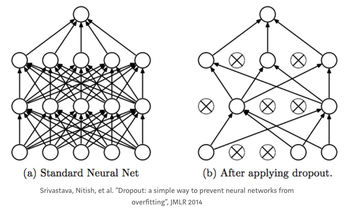 _images/dropout_net.png