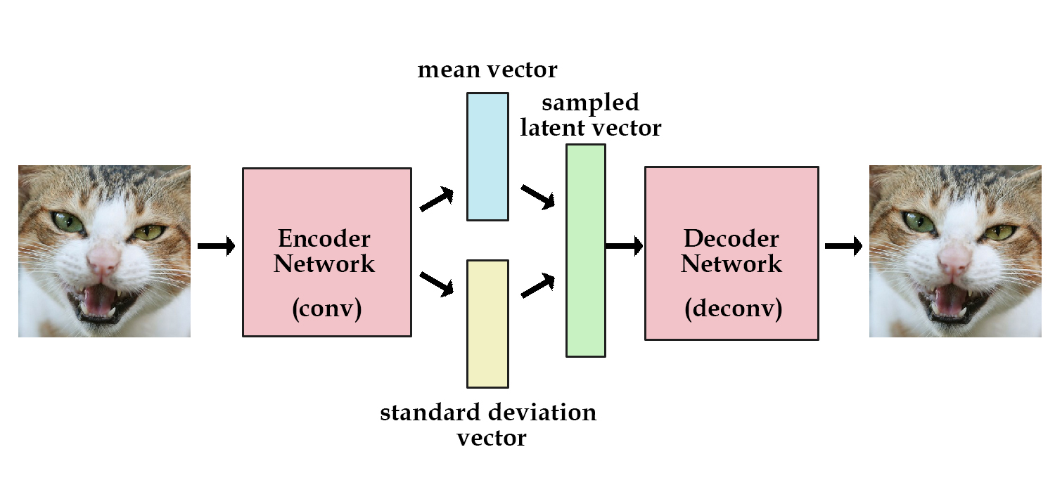 _images/vae.png